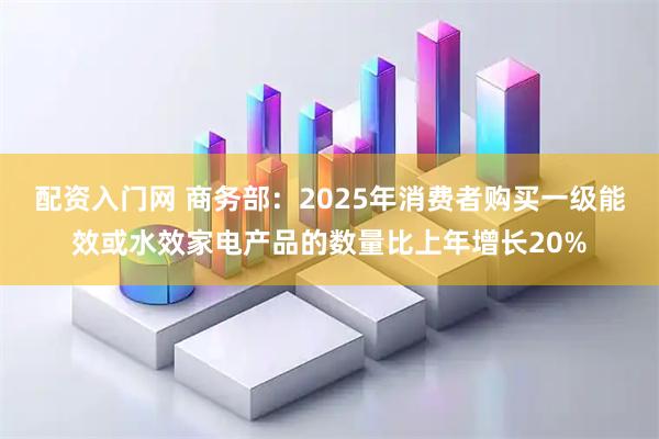 配资入门网 商务部：2025年消费者购买一级能效或水效家电产品的数量比上年增长20%