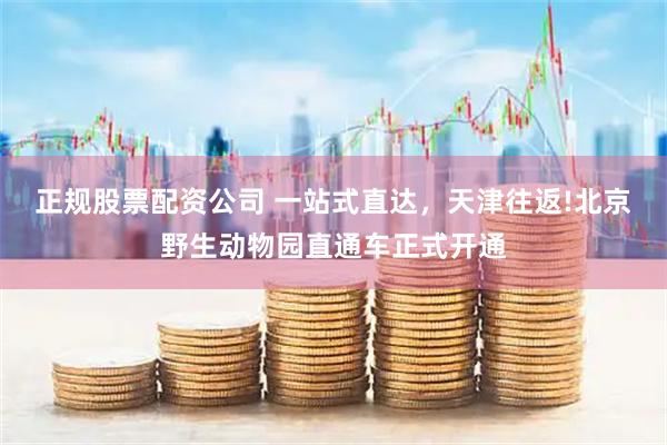 正规股票配资公司 一站式直达，天津往返!北京野生动物园直通车正式开通