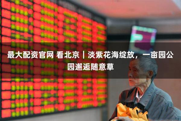 最大配资官网 看北京｜淡紫花海绽放，一亩园公园邂逅随意草